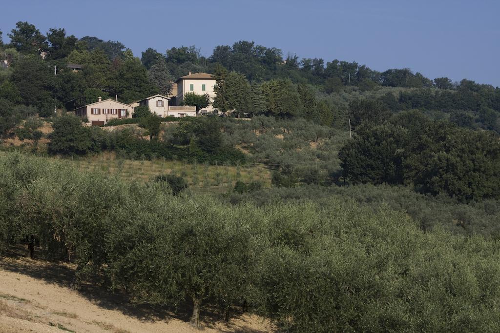 Agriturismo Il Girasole Montefalco Exterior foto