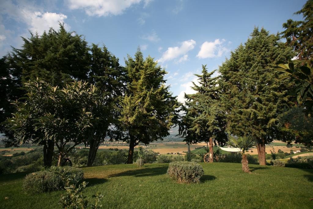 Agriturismo Il Girasole Montefalco Quarto foto