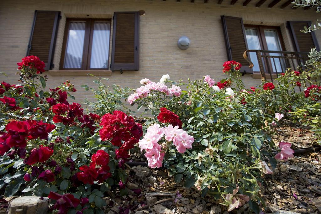 Agriturismo Il Girasole Montefalco Quarto foto